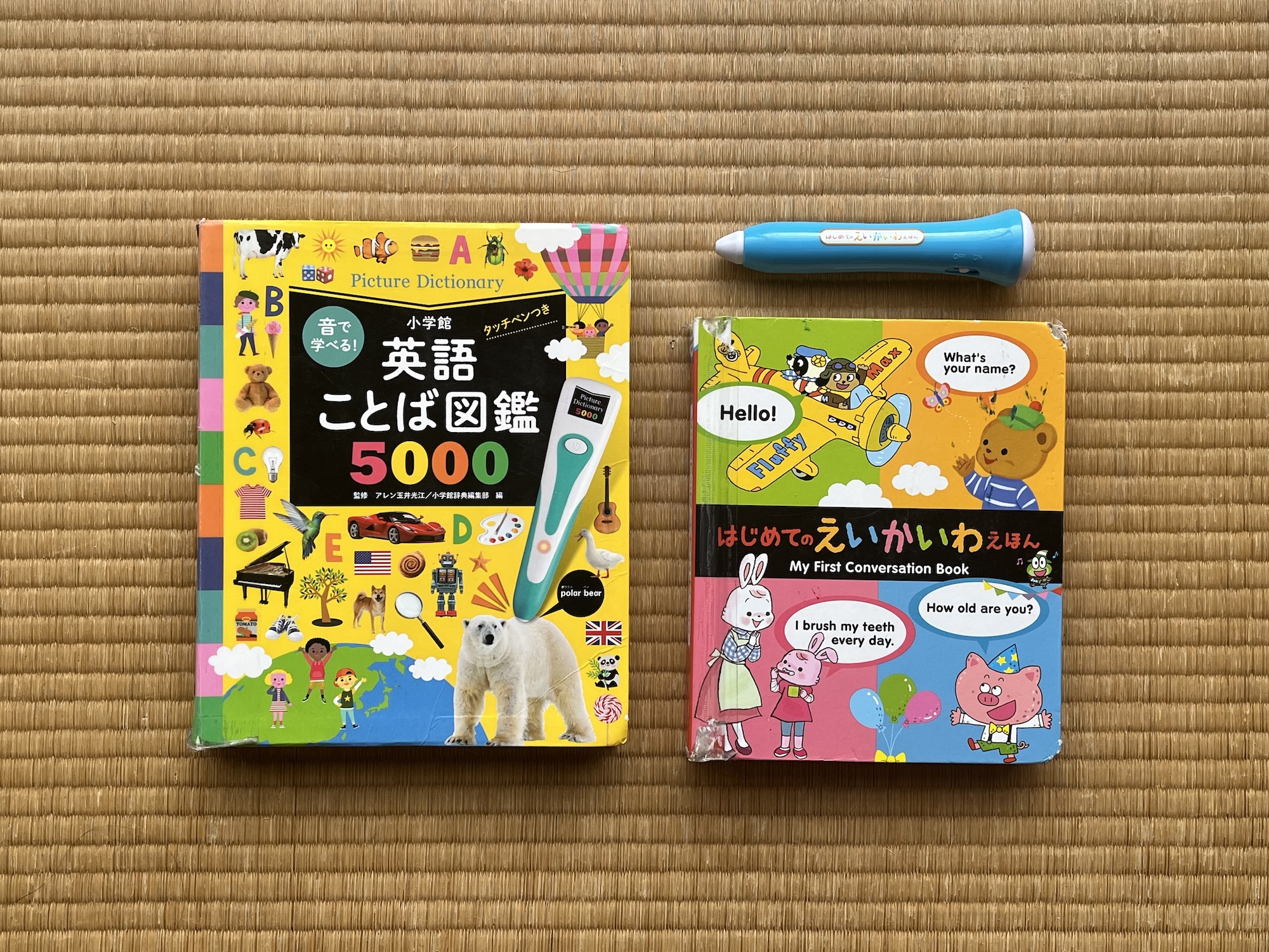 遅めスタート期に使っていた英語絵本と知育玩具