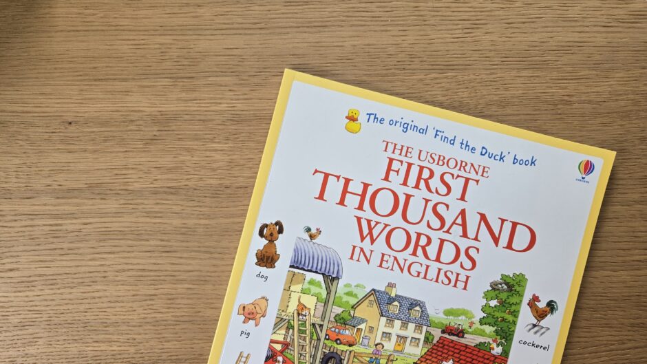 英語絵辞典、ピクチャーディクショナリ