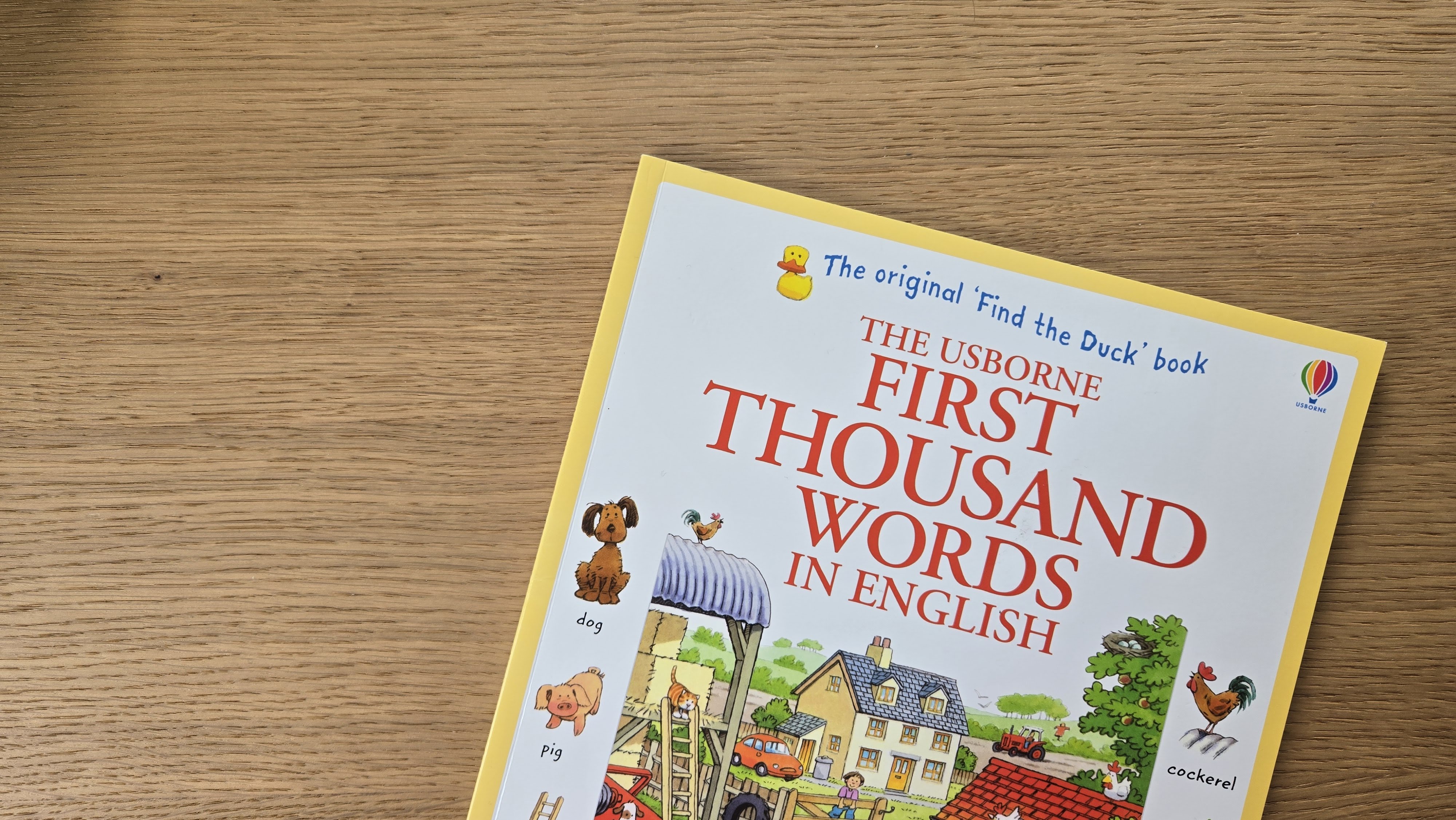 英語絵本・図鑑・辞書・CD・DVD まとめ売り　洋書　多読　おうち英語 おうち英語に最適な英語ピクチャーディクショナリー | The Usborne